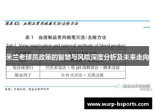 米兰老球员政策的智慧与风险深度分析及未来走向