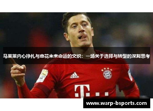 马莱莱内心挣扎与申花未来命运的交织：一场关于选择与转型的深刻思考