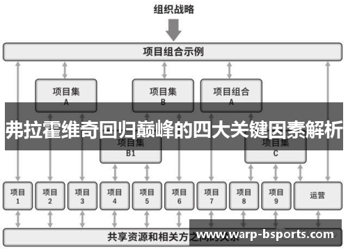弗拉霍维奇回归巅峰的四大关键因素解析