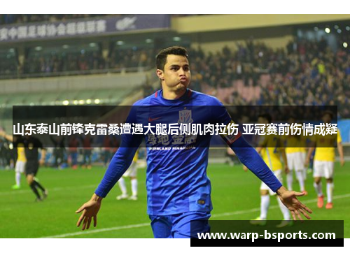 山东泰山前锋克雷桑遭遇大腿后侧肌肉拉伤 亚冠赛前伤情成疑 山东泰山前锋克雷桑遭遇大腿后侧肌肉拉伤 亚冠赛前伤情成疑